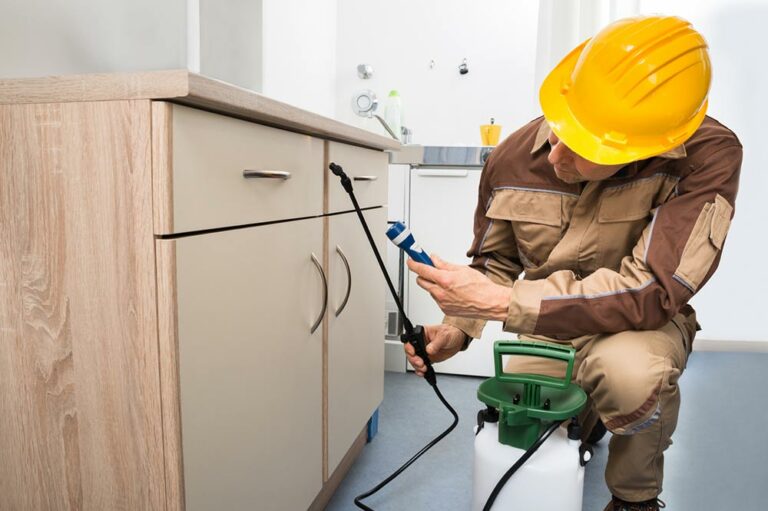 11 common pest control mistakes one must avoid